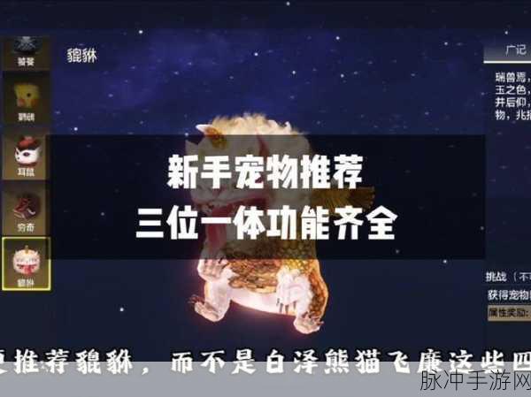 妄想山海三阶狐狸全攻略,解锁高效战斗技巧与策略
