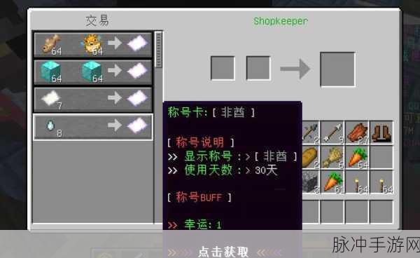我的世界RPG插件，打造专属奇幻物品指南