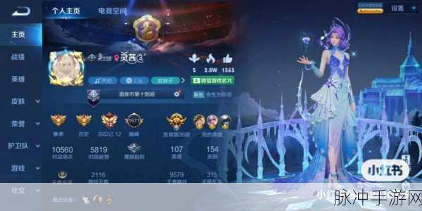 荣耀征途,铂金段位,解锁王者荣耀的璀璨篇章