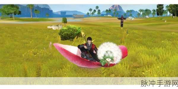 妄想山海若华之旅，解锁冒险与成长的奇幻新篇章