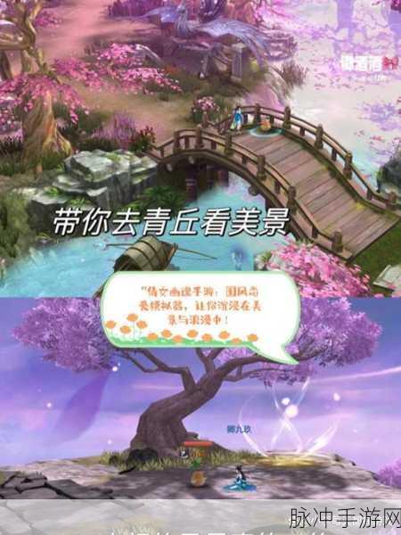 青丘秘境全探索，新版倩女幽魂Online深度攻略指南