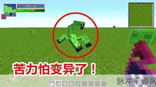 我的世界闪电苦力怕，游戏中的高危变异生物