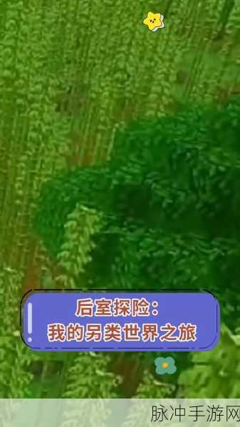 探索未知恐惧,后室生存游戏,你的惊险冒险之旅