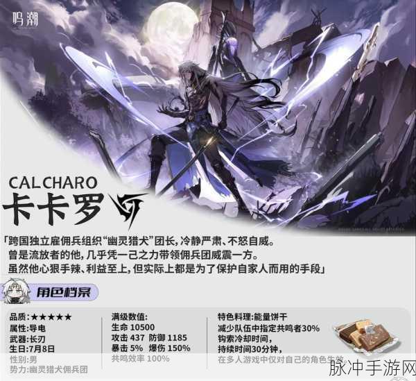 鸣潮常驻五星角色大揭秘，谁才是你的最佳拍档？