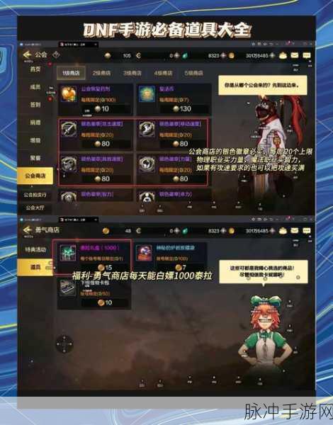 DNF新手福音,精灵宠物选择指南,实力飙升不是梦!