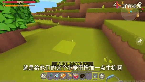 迷你世界深度攻略，麦子获取与种植全揭秘