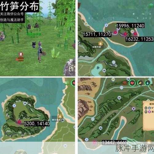 创造与魔法深度探索，竹笋效用、位置分布及寻找全攻略