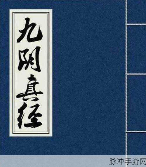 九阴真经深度解析，不购将湖名俊也能畅游江湖？
