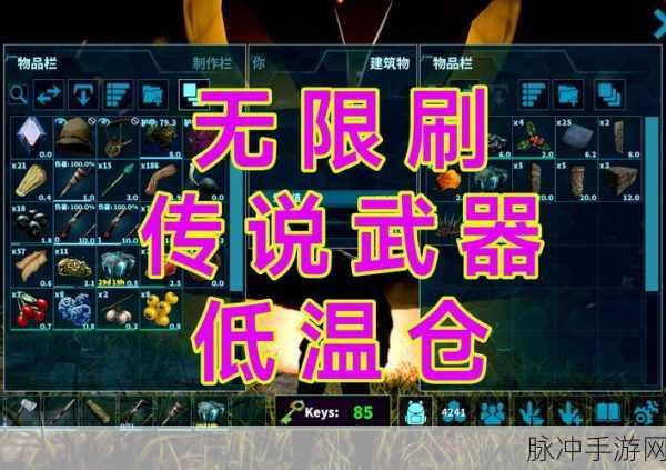 方舟低温症，玩家如何实现快速苏醒的实战攻略