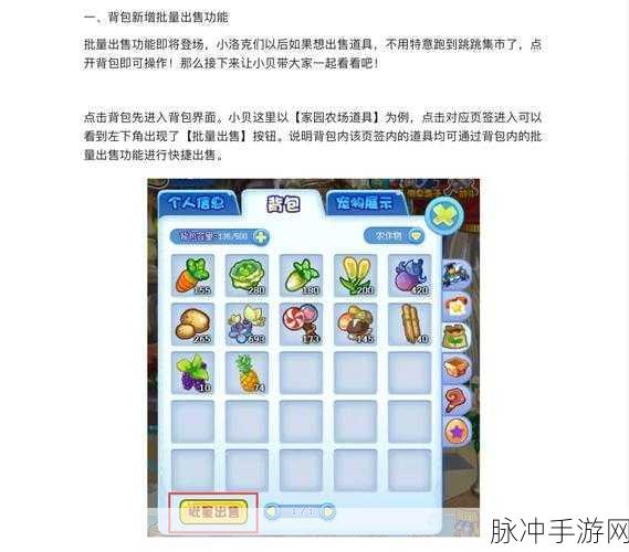 洛克王国农场装扮全揭秘,获取与兑换秘籍大公开