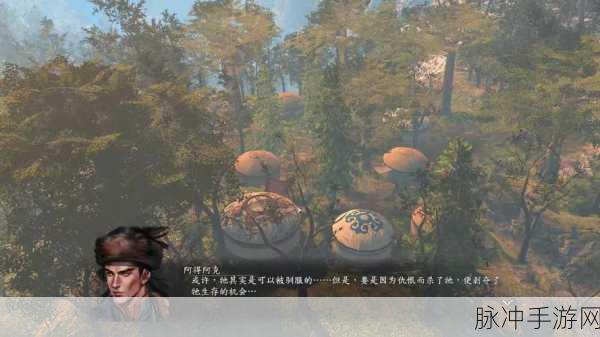 河洛群侠传开局问题全效果深度解析