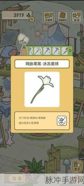 旅行青蛙幸运物全攻略,解锁你的探险奇遇