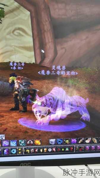 魔兽世界盆地灵魂兽，揭秘盆地深处的奇幻生灵探险之旅