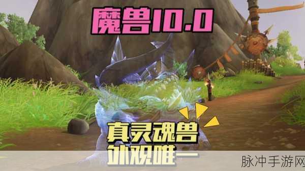 魔兽世界盆地灵魂兽,揭秘盆地深处的奇幻生灵探险之旅