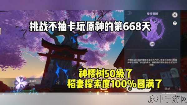 原神神樱树快速满级攻略，解锁稻妻之力的秘密