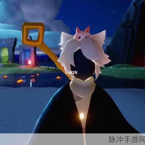 光遇猫猫头套,萌动你的游戏世界