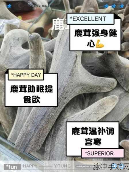 梦幻西游手游,揭秘鹿茸的珍贵药材属性与神奇功效