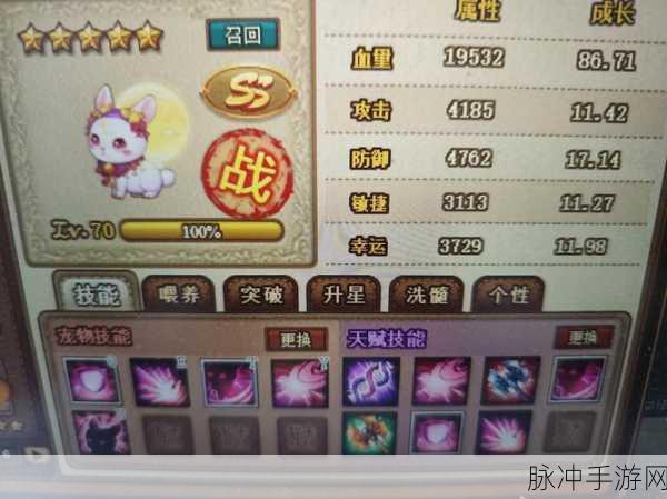 弹弹堂金币秘籍大公开，新手老鸟都能嗨翻天！