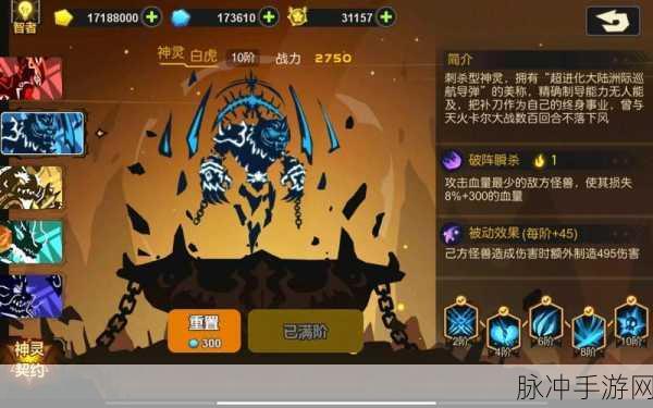 超进化物语白虎升阶全解析，刺杀之王如何炼成