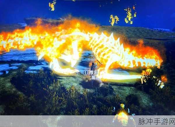 探秘奇幻世界，上古卷轴与太初仪式的知识印章之旅