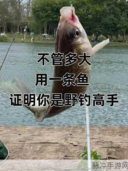 我是钓鱼佬，沉浸式钓鱼体验，等你来钓趣无穷