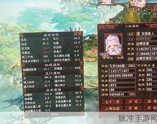 大话西游男魔转生传奇，踏上巅峰的荣耀征途