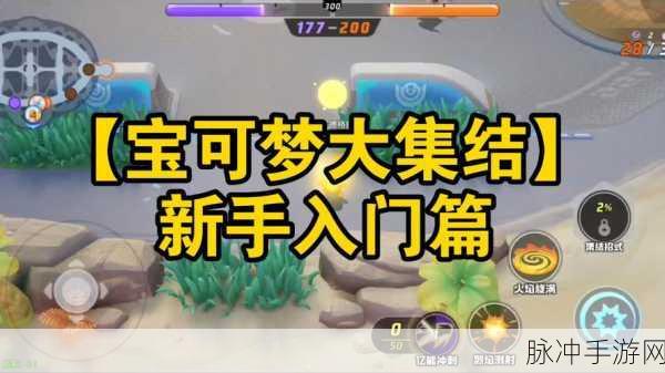 宝可梦大集结新手启航,全面解锁入门玩法秘籍