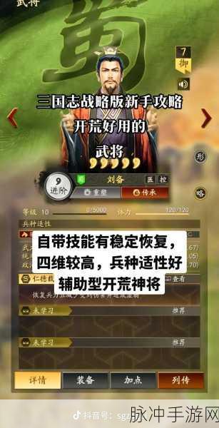 三国志战略版，深度挖掘，探寻武将背后的不朽传奇