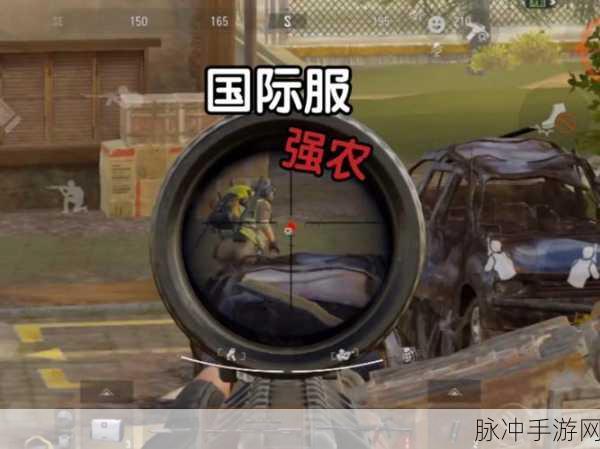 暗区突围高手进阶，揭秘GROZA许可证获取秘籍