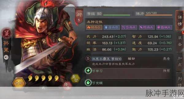 三国志·战略版，孙策孙坚甘宁组合实战解析
