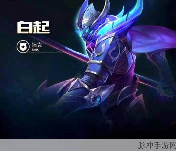王者荣耀另类坦克白起,深度攻略与玩法剖析