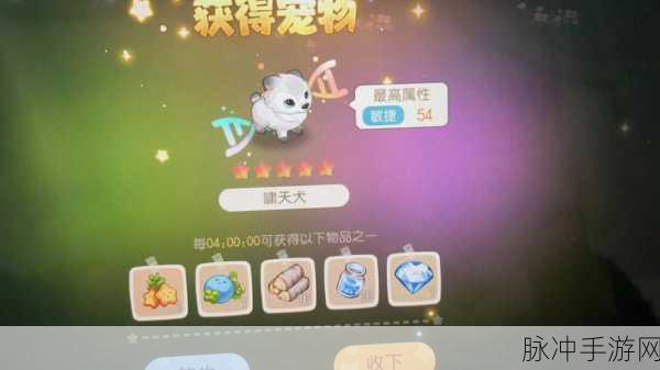 奥比岛手游宠物分布全揭秘，解锁宠物乐园的奇幻之旅