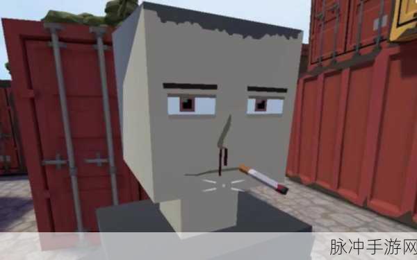沙盒仇恨,像素世界的无限创意与自由冒险