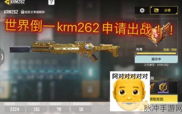 使命召唤12喷子武器巅峰,KRM262装配与使用全攻略