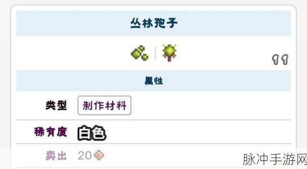 泰拉瑞亚探险秘籍，深入丛林，探寻蜥蜴秘境与珍稀宝藏