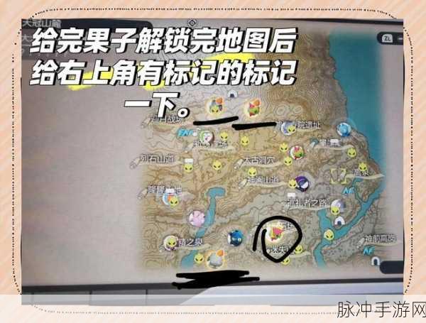 超级精灵手表探险指南,揭秘沼泽之地的神秘位置