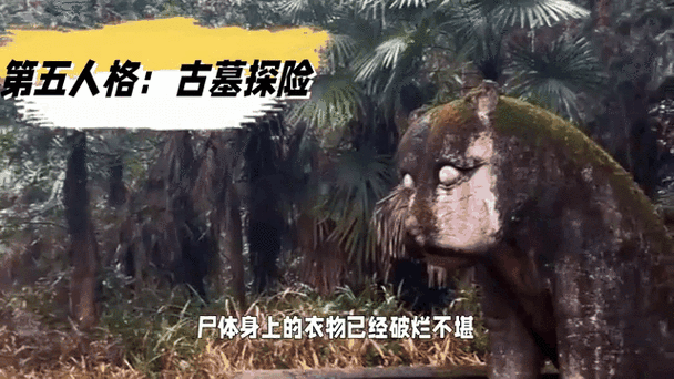 CF特训寻宝,探险者的奇幻宝藏之旅全面解析
