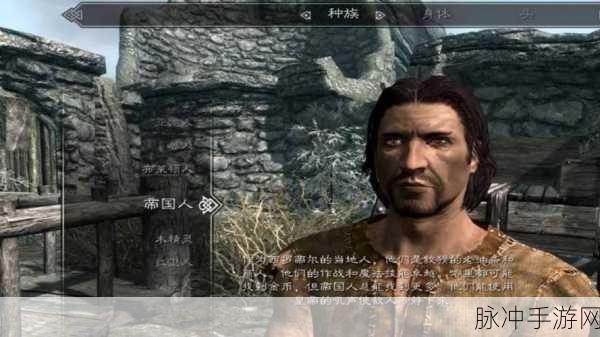 上古卷轴5笔记本挑战,高配为何鼠标仍飘逸?