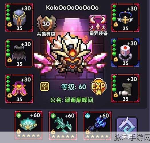 我的勇者花牧角色深度攻略，解锁高伤害的秘密