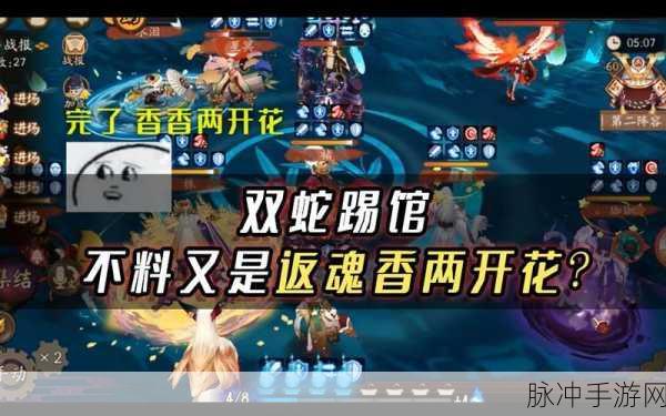 阴阳师双蛇献祭流,揭秘高效战斗背后的原理