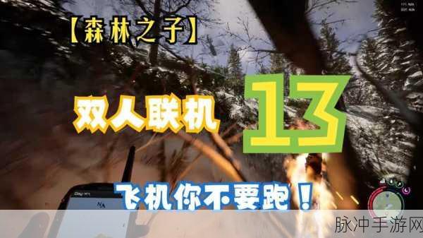 森林之子联机人数上限揭秘,八人共赴孤岛冒险
