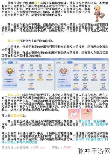 仙境传说RO手游，角色满级攻略与技巧大揭秘
