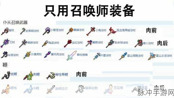 泰拉瑞亚星尘细胞法杖深度解析，属性与实战应用