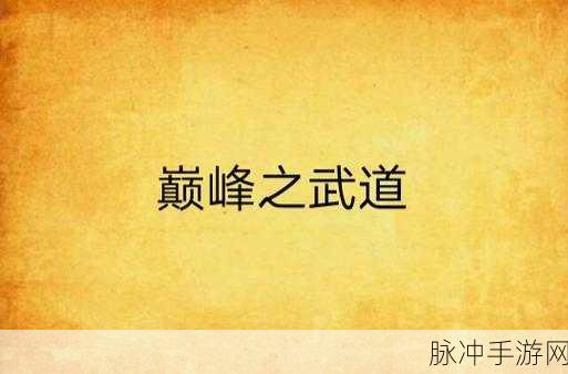 剑指荣耀,太阁立志传4剑术出卡解锁武道巅峰