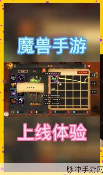 魔兽世界深度解析,装备容器的奥秘