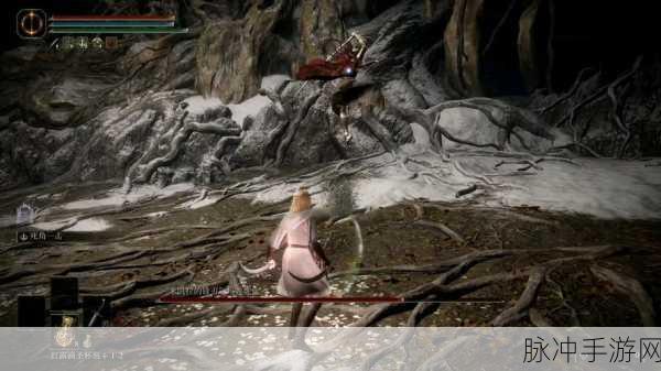 艾尔登法环玛莲妮亚套装,解锁强大防御的终极攻略