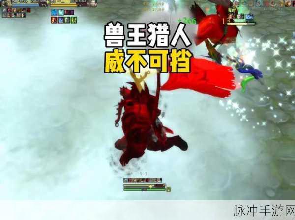 魔兽世界巫妖王之怒,战士、骑士、猎人与贼的角色深度剖析