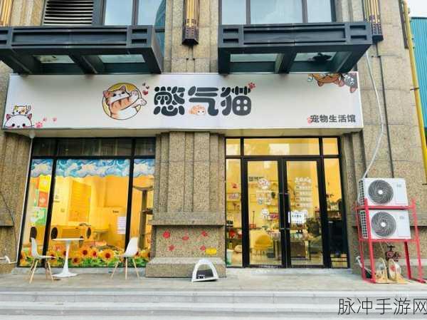 旅猫世界小镇生活，萌宠相伴，悠享休闲益智之旅