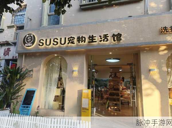 旅猫世界小镇生活,萌宠相伴,悠享休闲益智之旅