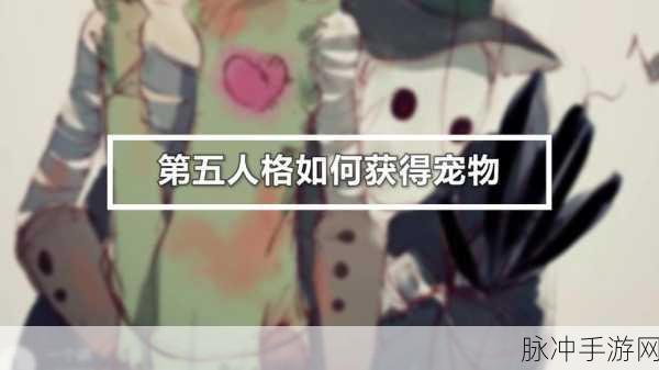 第五人格宠物更换全攻略,打造你的专属萌宠小队